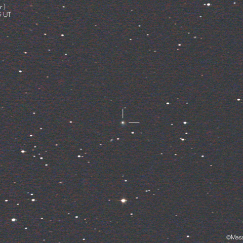 パロマー彗星 (C/2020T2)：2021/04/06