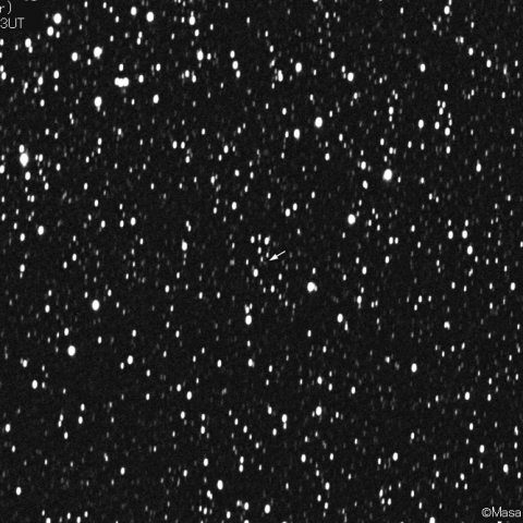 パロマー彗星 (C/2019O3)：2021/04/08