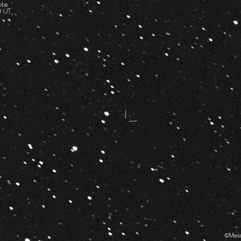 ラッセル第3彗星 (91P)の予報位置：2021/04/20