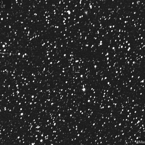 パロマー彗星 (C/2019O3)：2021/05/10