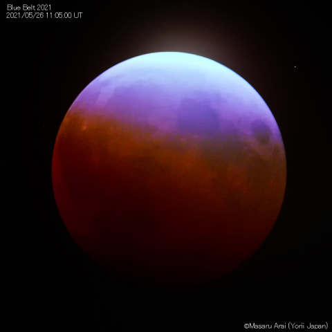 ブルーベルト(BlueBelt)：2021/05/26