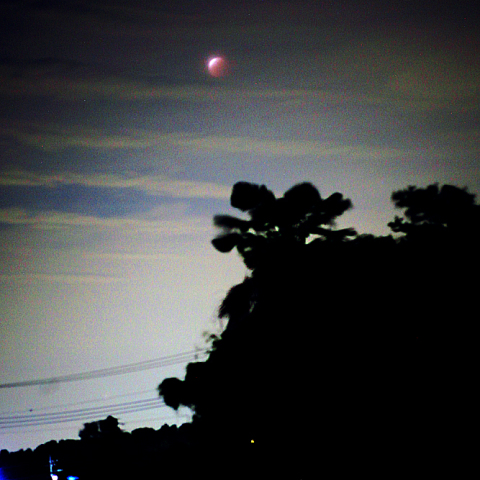 80mmによる皆既月食：2021/05/26