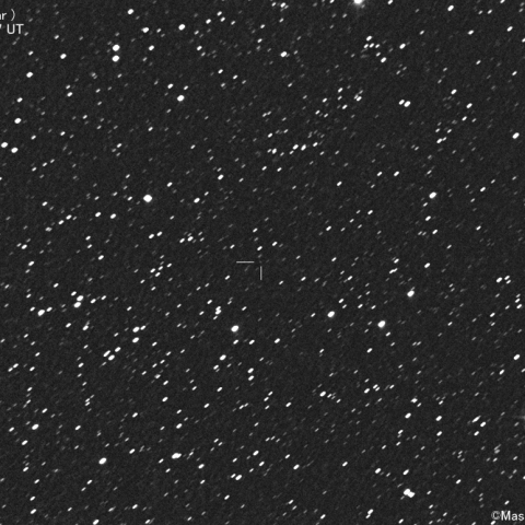 パロマー彗星  (C/2019O3)：2021/06/10