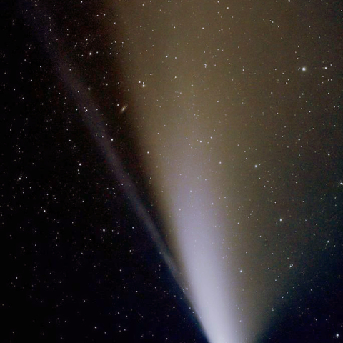 再処理:300mmによるネオワイズ彗星