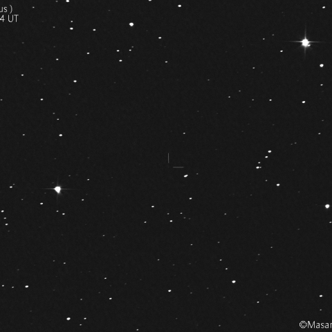 エラスムス彗星 (C/2020S3):2021/07/19