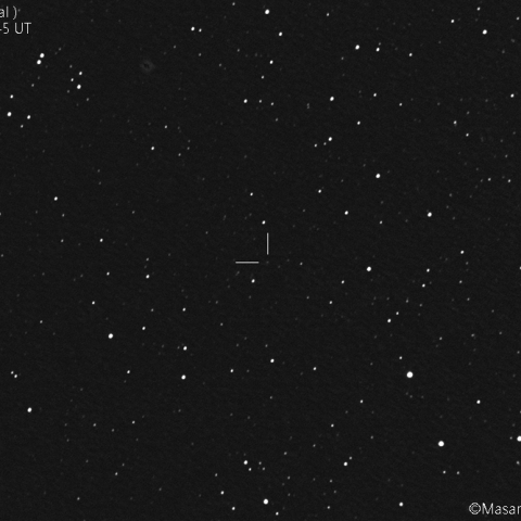 アマラウ彗星( C/2020O2 ):2021/08/04
