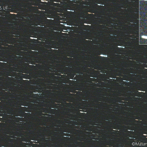 フィンレー彗星( 15P ):2021/08/19