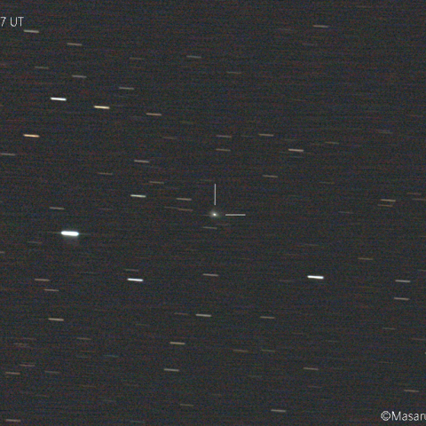 フェイ彗星( 4P )：2021/08/19