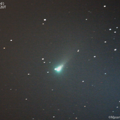 レナード彗星(C/2021A1)：2021/11/15