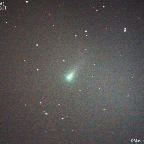 レナード彗星(C/2021A1)：2021/11/16