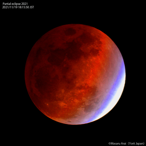 ブルーベルト：2021/11/19