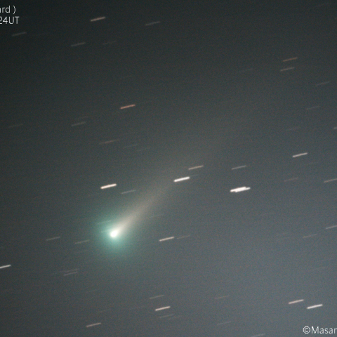 レナード彗星(C/2021A1)：2021/11/26