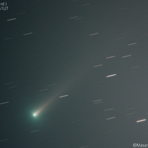 レナード彗星(C/2021A1)：2021/11/27