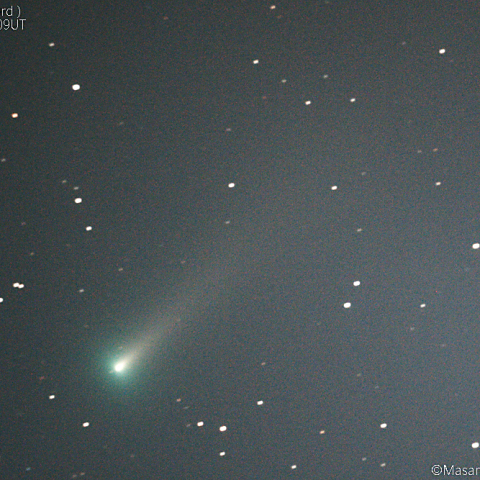 レナード彗星(C/2021A1)：2021/11/28