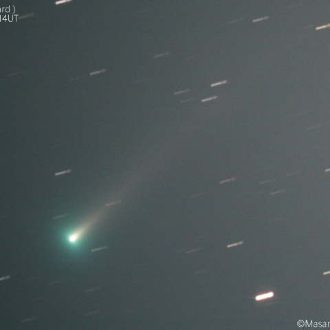 レナード彗星( C/2021 A1 )：2021/11/29