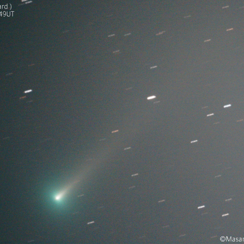 レナード彗星( C/2021 A1 )：2021/11/30
