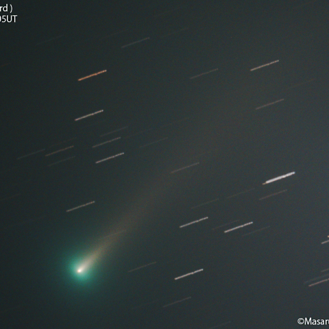 レナード彗星 ( C/2021A1 )：2021/12/03