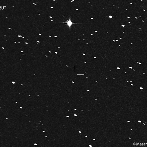 ビルト第２彗星 ( 81P )：2021/12/02