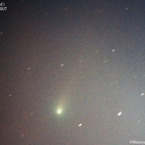 レナード彗星( C/2021A1 )：2021/12/12