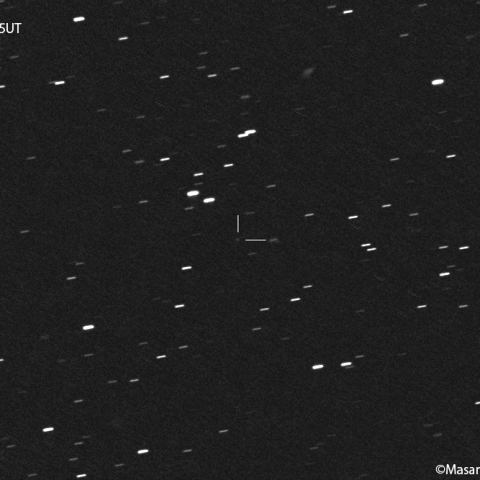 小島彗星( 70P )：2021/12/13