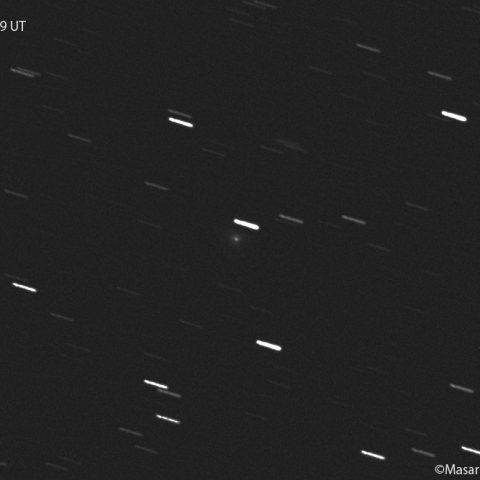 コワル第２彗星 (104P) :2022/01/02