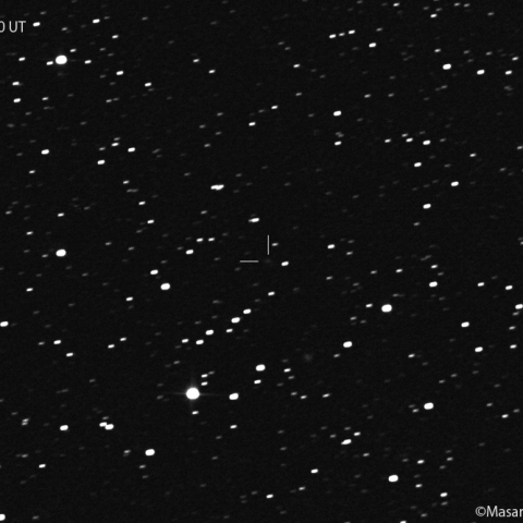 シフレオ彗星 ( 108P ) : 2022/01/04