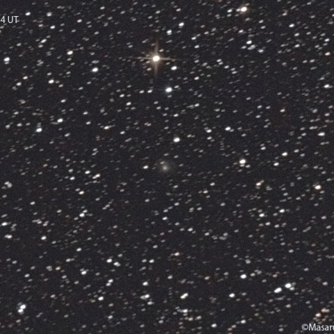 フェイ彗星 (4P) : 2022/01/07