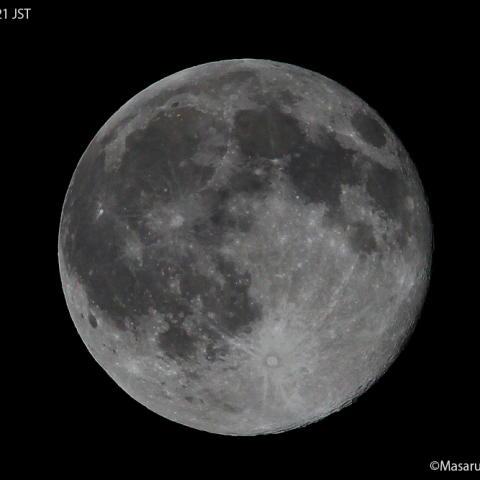 月齢15.7 : 2022/01/18