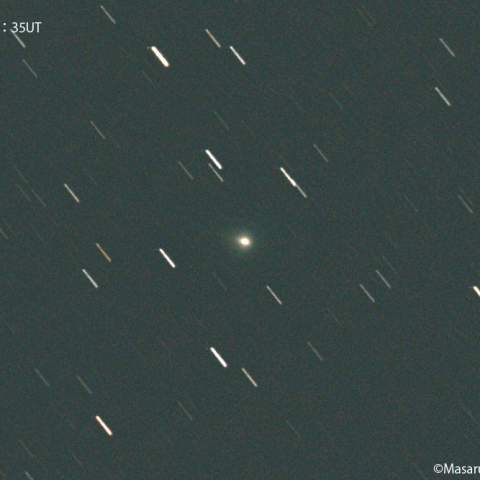 ボレリー彗星 ( 19P ) : 2022/01/22