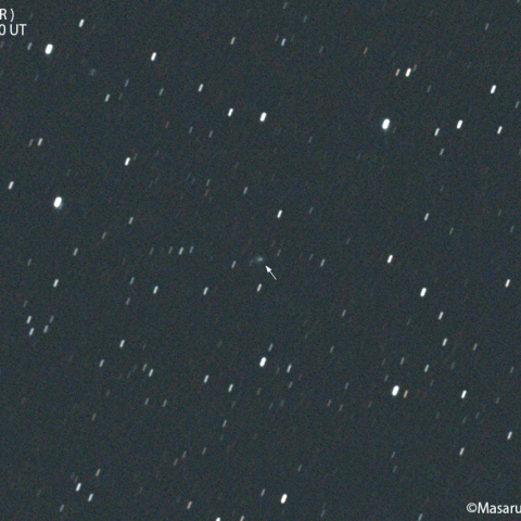 ソニア彗星( C/2020J1 ):2022/01/29