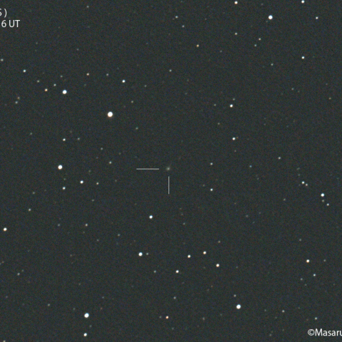 アトラス彗星(C/2019T4)：2022/01/31
