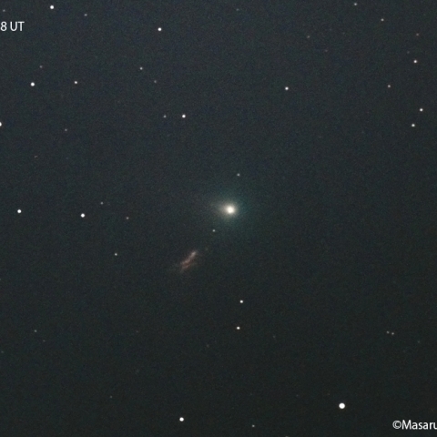 ボレリー彗星 ( 19P ) : 2022/01/31