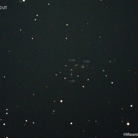 ビルト彗星（116P） : 2022/02/01