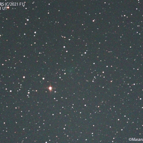 レモン・パンスターズ彗星 (C/2021F1)  : 2022/02/07
