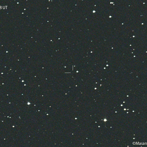 コワル第１彗星 (99P) : 2022/02/01