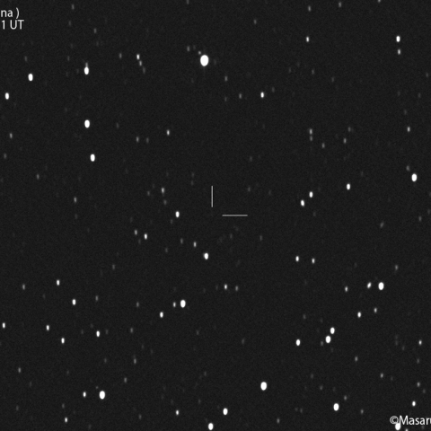 カタリナ彗星 ( C/2021U5 ):2021/02/01