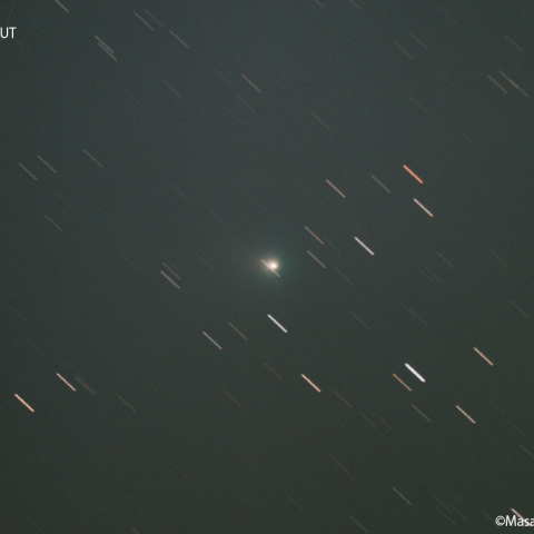 ボレリー彗星 ( 19P ) : 2022/02/21