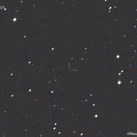 小島彗星 ( 70P ) : 2022/02/25