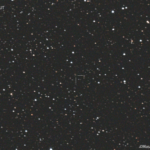 フェイ彗星 (4P) : 2022/02/24