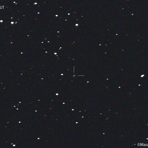 ビルト彗星（116P） : 2022/02/27