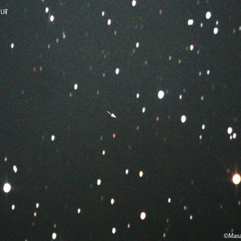 小林彗星 ( 440P ) : 2022/03/06