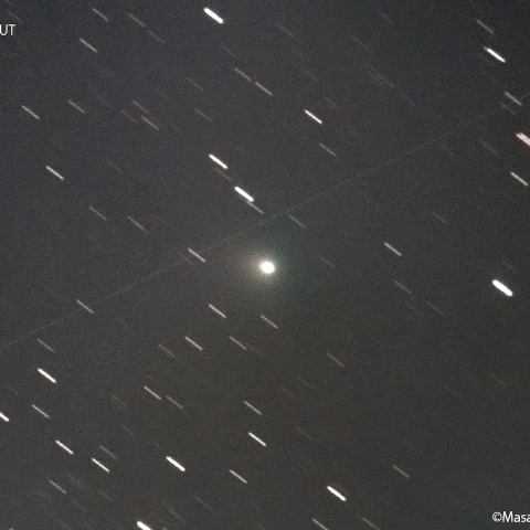 ボレリー彗星 ( 19P ) : 2022/03/06