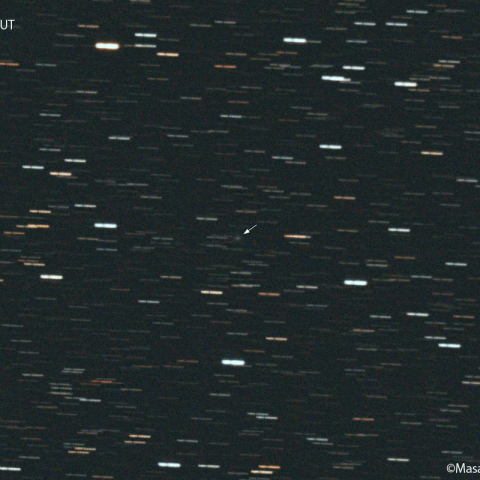 コワル第２彗星 ( 104P ) : 2022/03/24