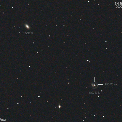 超新星( 2022ewj )：2022/04/01