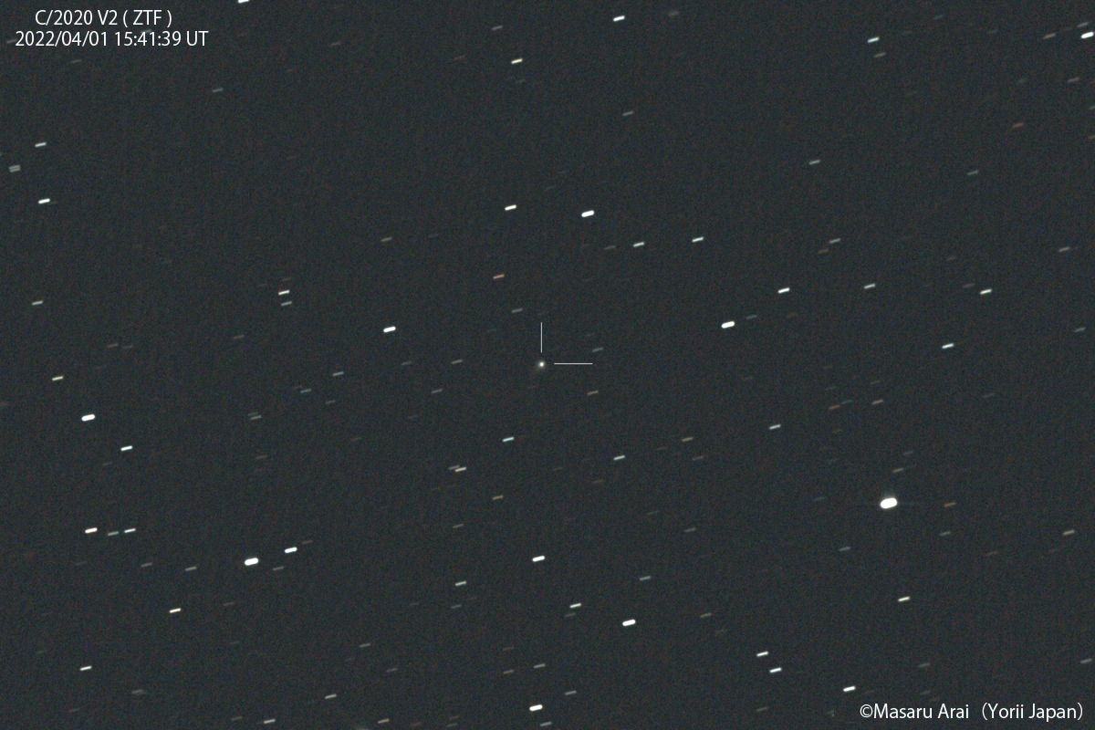 80904: ズィーティーエフ彗星 (C/2020V2)：2022/04/02 by 新井優 - 天体写真ギャラリー