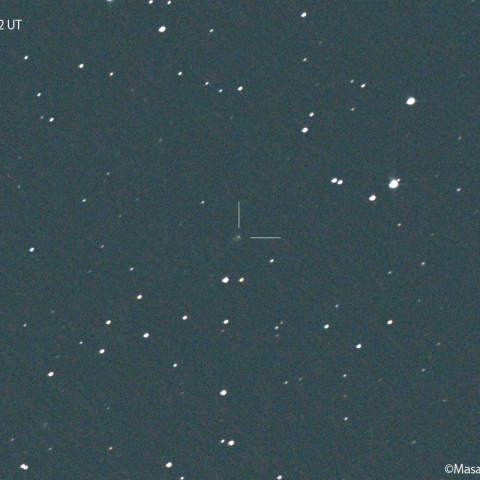 ビルト彗星（116P） : 2022/04/06