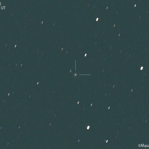 アトラス彗星 (C/2019T4) : 2022/04/07