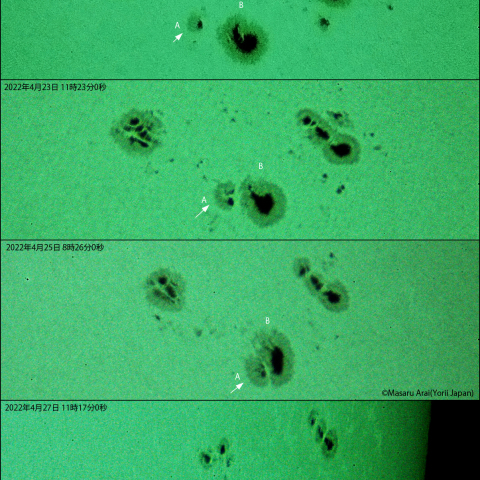 太陽黒点の移動と合体 : 2022/04/22～27