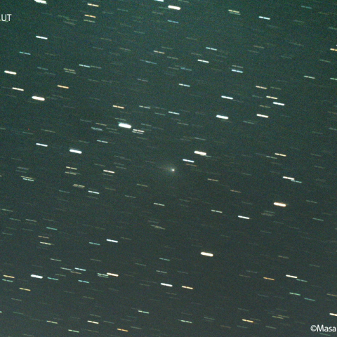 ボレリー彗星 ( 19P ) : 2022/04/22