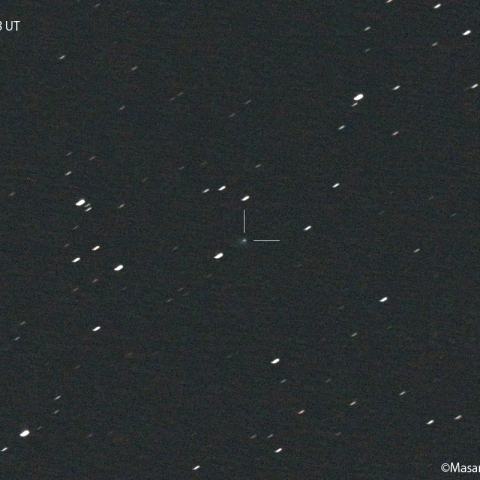 ビルト彗星（116P） : 2022/04/22